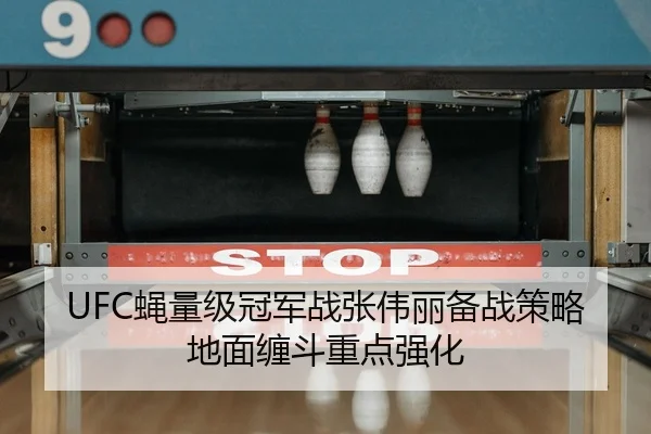 ying-liang-ji-guan-jun-zhan-zhang-wei-li-bei-zhan-ce-lve-di-mian-chan-dou-zhong-dian-qiang-hua-2-515.jpg
